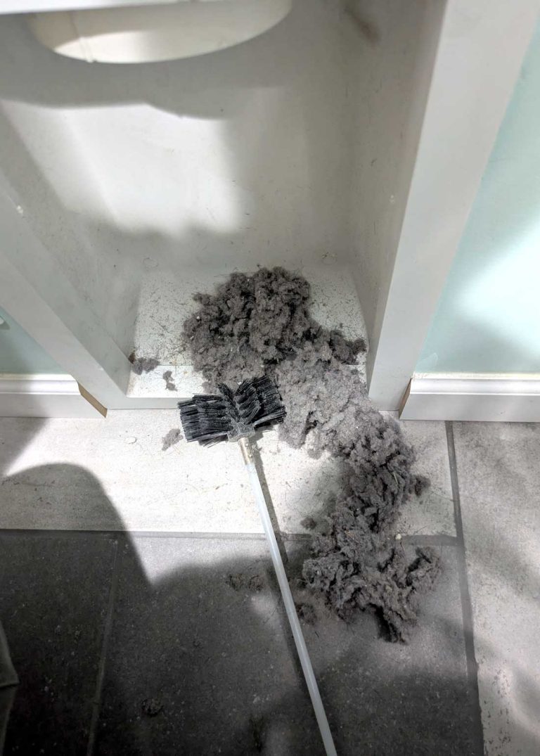 dirt and dust removed from the laundry dryer vent.